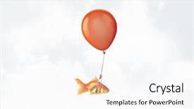  Presentation with goldfish - Beautiful PPT theme featuring intelligent coragous - goldfish fly on balloon backdrop and a white colored foreground