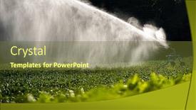  Presentation with agriculture water - Presentation having intense-agriculture-corn-fiekd-being background and a tawny brown colored foreground