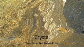  Presentation with danger - Audience pleasing slides consisting of intensity science - infringement of ecology our environment backdrop and a  colored foreground