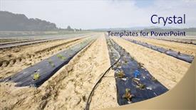  Presentation with water farming - Presentation theme having intensive vegetable farming with water irrigation france background and a sky blue colored foreground