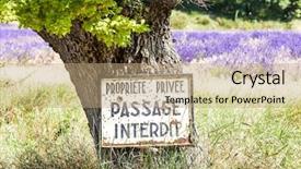  Presentation with lavender - Colorful slide deck enhanced with interdiction sign - tree and lavender at background backdrop and a  colored foreground