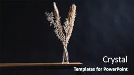  Presentation with decor - 