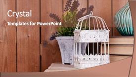  Presentation with zoo interior design - Amazing slide set having interior design with decorative vase backdrop and a coral colored foreground