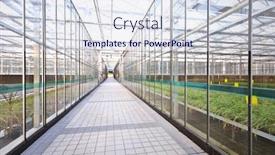  Presentation with greenhouse - Beautiful slide deck featuring interior-of-a-greenhouse backdrop and a sky blue colored foreground