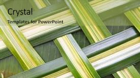  Presentation with botany - Amazing PPT theme having interlace - botany nature wickerwork eco backdrop and a  colored foreground
