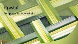  Presentation with palm tree - Beautiful presentation theme featuring interlace - botany nature wickerwork eco backdrop and a  colored foreground
