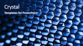  Presentation with honeycomb - Slides enhanced with green birches on the small island in the lake in the former quarry kamenarka near stramberk czech republic background and a tawny brown colored foreground