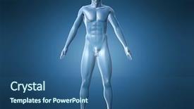  Presentation with human - Presentation enhanced with internal medicine - human male illustration background and a ocean colored foreground