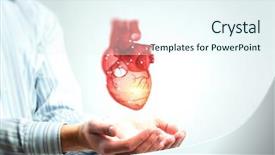  Presentation with hands heart - Audience pleasing PPT theme consisting of internal medicine - man hands showing anatomical heart backdrop and a sky blue colored foreground