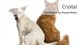  Presentation with russell - Theme having interplay - rear view of a maine background and a white colored foreground