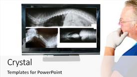  Presentation with veterinary - Slides consisting of intestine - animal doctor veterinary background and a white colored foreground