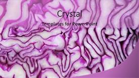  Presentation with intestine - Beautiful PPT theme featuring colorful pencils with hand-drawn lines isolated on white backdrop and a lemonade colored foreground