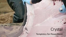  Presentation with whale - Beautiful slides featuring intestine - dead humpback whale megaptera novaeangliae backdrop and a soft green colored foreground