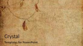  Presentation with brown floral - Slides with fine background of sea shells set background and a light blue colored foreground