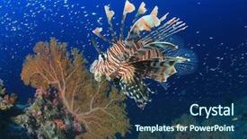  Presentation with coral reef - PPT theme featuring invasive species - lionfish fish on coral reef background and a  colored foreground