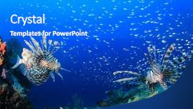  Presentation with coral reef - Presentation design having invasive species - lionfish fish on coral reef background and a  colored foreground