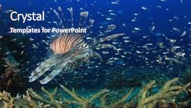  Presentation with coral reef - Audience pleasing presentation theme consisting of invasive species - lionfish fish on coral reef backdrop and a  colored foreground