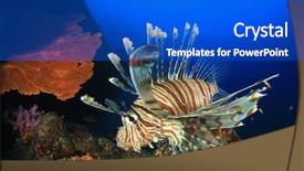  Presentation with fish ocean - Colorful slide set enhanced with invasive species - lionfish fish on coral reef backdrop and a cobalt blue colored foreground
