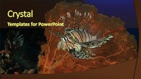  Presentation with fish ocean - Audience pleasing PPT theme consisting of invasive species - lionfish fish on coral reef backdrop and a tawny brown colored foreground