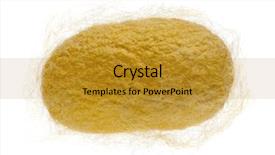  Presentation with silkworm - Slide set featuring invertebrate - cocoon of silkworm - bombyx background and a gold colored foreground