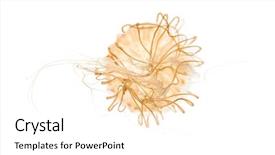  Presentation with nettle - Presentation theme having invertebrate - japanese sea nettle chrysaora pacifica background and a white colored foreground