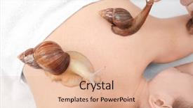  Presentation with beauty salon - Cool new slide deck with invertebrate - young woman undergoing treatment backdrop and a coral colored foreground