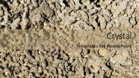  Presentation with invertebrate - Colorful slide deck enhanced with invertebrate wildlife and nature - close backdrop and a coral colored foreground