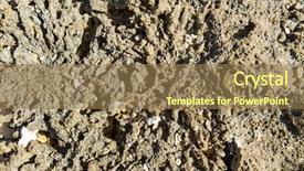  Presentation with invertebrate - Theme with invertebrate wildlife and nature - close background and a coral colored foreground