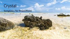  Presentation with invertebrate - PPT layouts enhanced with invertebrate wildlife and nature - hard background and a light blue colored foreground