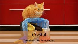  Presentation with garbage - Theme enhanced with inverter - red cat at full inverted background and a  colored foreground
