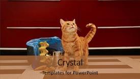  Presentation with cat - PPT theme having inverter - red cat near full inverted background and a red colored foreground