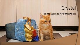  Presentation with full score - Slide deck enhanced with inverter - red cat near full inverted background and a lemonade colored foreground