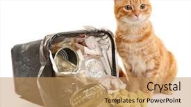  Presentation with cat - Colorful slide set enhanced with inverter - red cat near full inverted backdrop and a  colored foreground