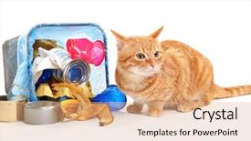  Presentation with cat - PPT theme having inverter - red cat near full inverted background and a coral colored foreground