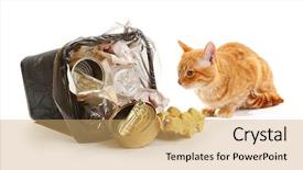  Presentation with cat - Audience pleasing PPT theme consisting of inverter - red cat near full inverted backdrop and a  colored foreground