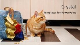  Presentation with cat - Amazing theme having inverter - red cat near full inverted backdrop and a  colored foreground