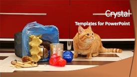  Presentation with cat and moon - PPT layouts with inverter - red cat near full inverted background and a  colored foreground