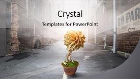  Presentation with invest - Beautiful PPT theme featuring invest right to get income backdrop and a light gray colored foreground