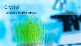  Presentation with bacteria - PPT layouts consisting of investigating-the-role-of-beneficial and a arctic colored foreground