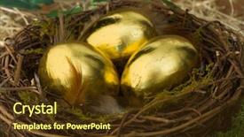  Presentation with bird eggs - Theme featuring golden eggs in a bird' background and a  colored foreground