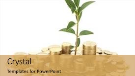  Presentation with gold investment - Audience pleasing presentation theme consisting of investment - plant growing out of gold backdrop and a yellow colored foreground