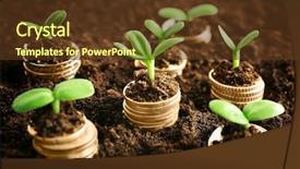  Presentation with young plant - Amazing slides having coins in soil with young plant money growth concept backdrop and a tawny brown colored foreground