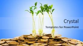  Presentation with seedling - Slide deck with money growth concept with coins and seedling background and a light blue colored foreground