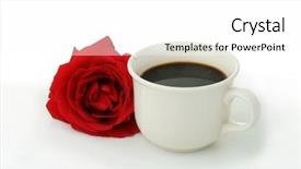  Presentation with scroll paper isolated on white - Cool new theme with invitation breakfast - coffe cup isolated on white backdrop and a white colored foreground