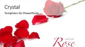  Presentation with rose petal corner frame - Beautiful PPT theme featuring invitation cards - rose and petals backdrop and a white colored foreground