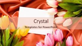  Presentation with birthday invitation - Audience pleasing PPT theme consisting of invitation cards birthday - envelope and flowers backdrop and a coral colored foreground