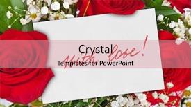  Presentation with birthday invitation - Colorful theme enhanced with invitation cards birthday - roses bouquet and greeting card backdrop and a coral colored foreground