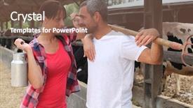  Presentation with eye - PPT theme with invitation farm animals - couple making eye contact background and a tawny brown colored foreground