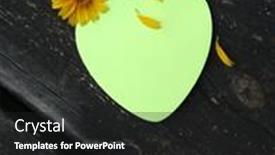  Presentation with heart flowers - PPT layouts with invitation-or-heart-shaped-note background and a dark gray colored foreground