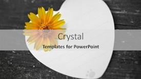  Presentation with heart flowers - Theme having invitation-or-heart-shaped-note background and a light gray colored foreground